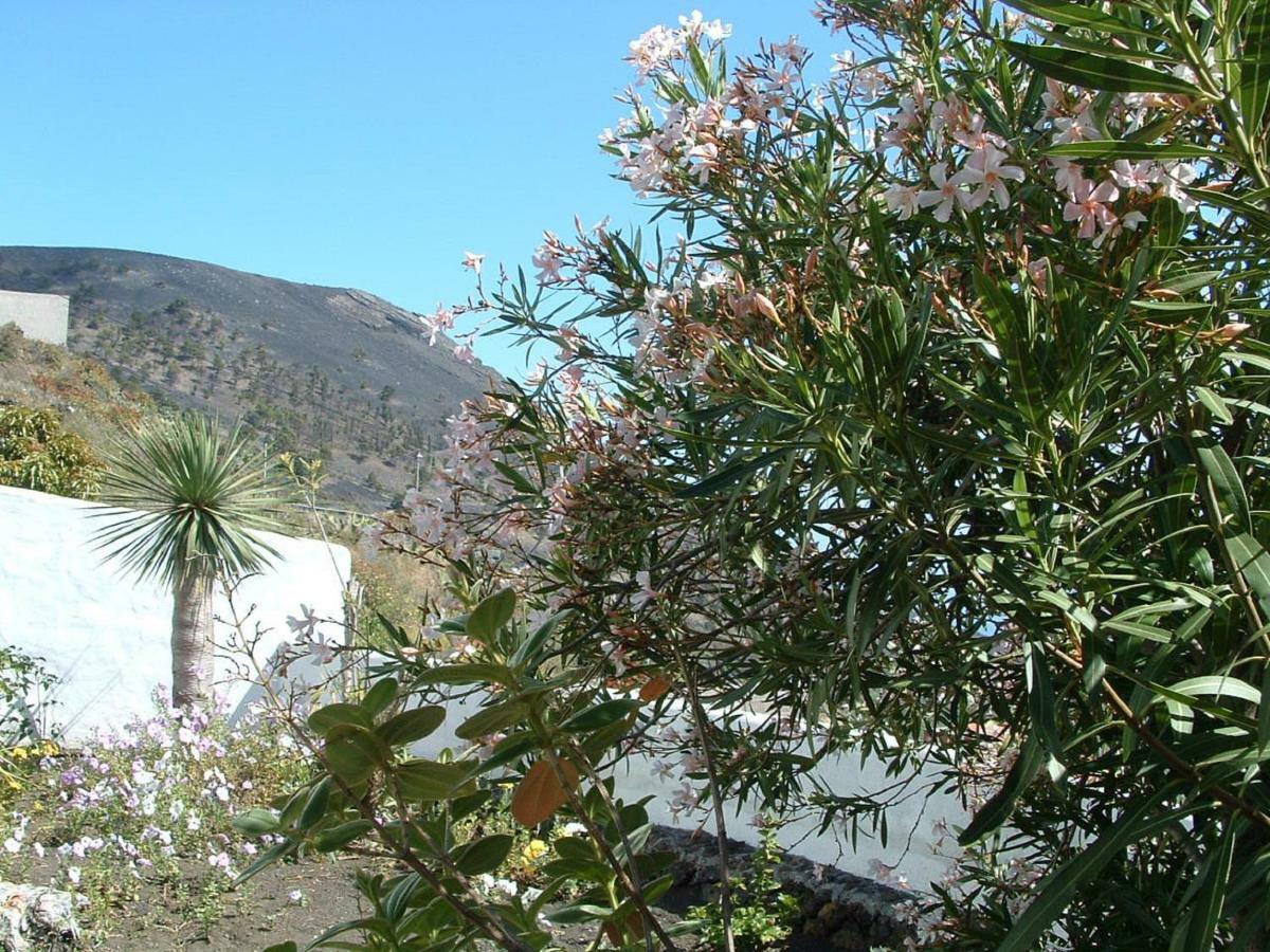 Casa Los Vinedos B Fuencaliente de la Palma Exterior foto
